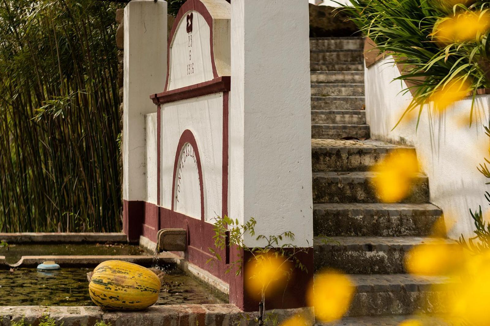 Quinta Da Asneira Lägenhet Montemor-o-Novo Exteriör bild