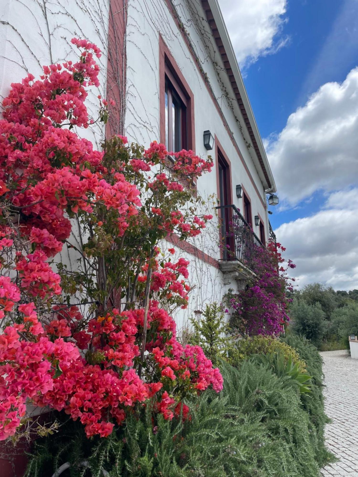 Quinta Da Asneira Lägenhet Montemor-o-Novo Exteriör bild