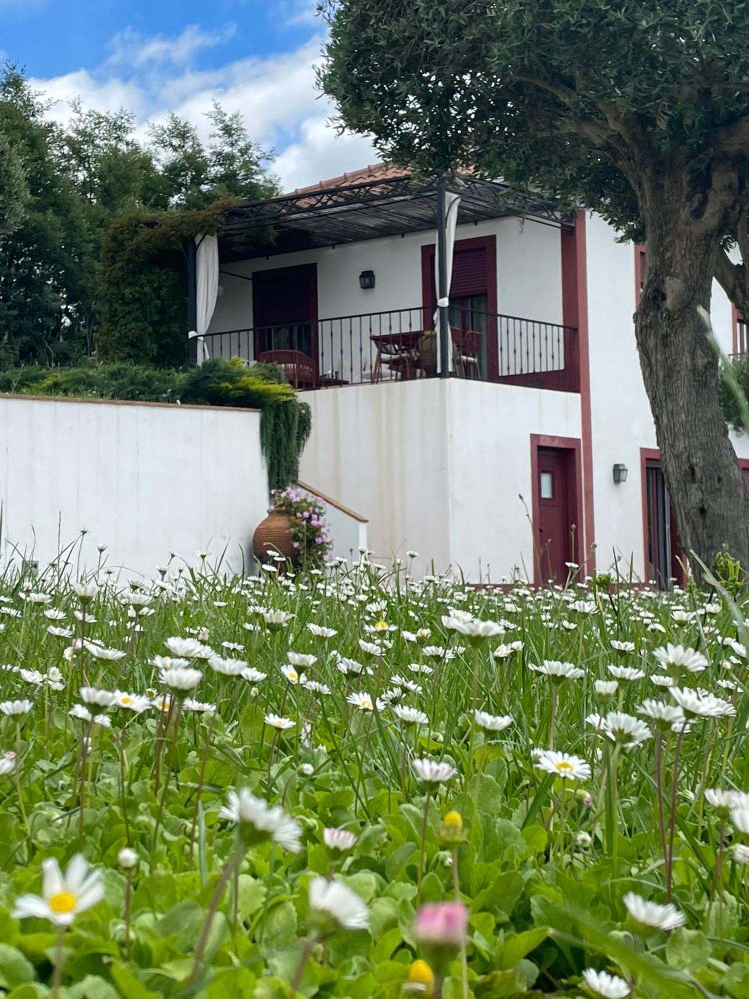 Quinta Da Asneira Lägenhet Montemor-o-Novo Exteriör bild