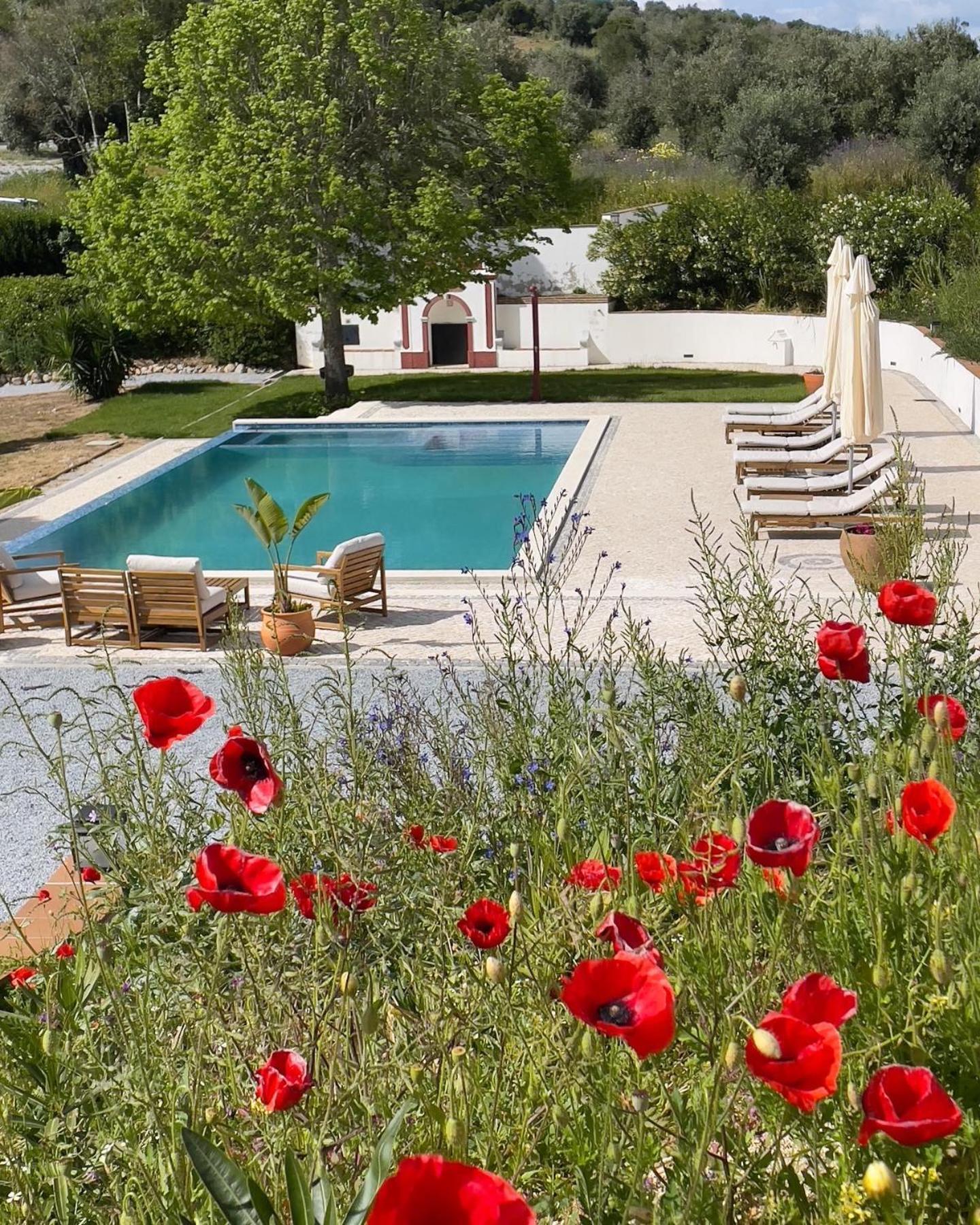 Quinta Da Asneira Lägenhet Montemor-o-Novo Exteriör bild